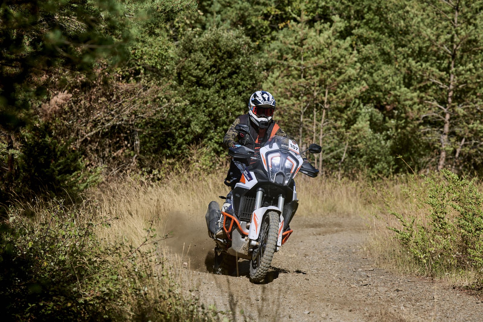 KTM Adventure Rally France 2022 — solo rider on dirt trail through forest, Pyrenees Day 1